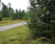 Reedy Creek Greenway