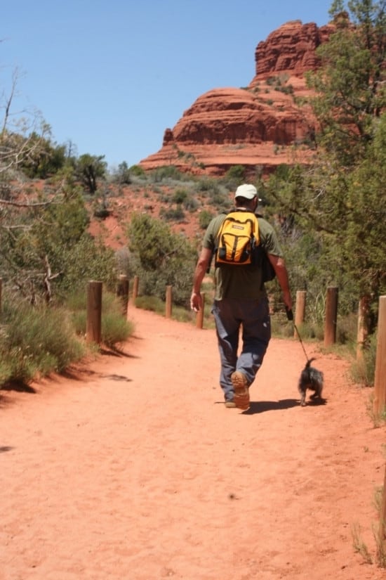 places-to-hike-with-your-dog-american-hiking-society