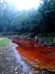 Buckeye Creek Spill 2009