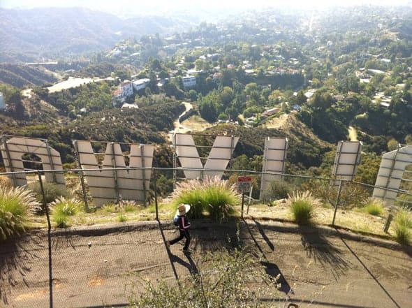 mount-hollywood-los-angeles
