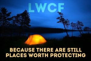 LWCF tent jpg