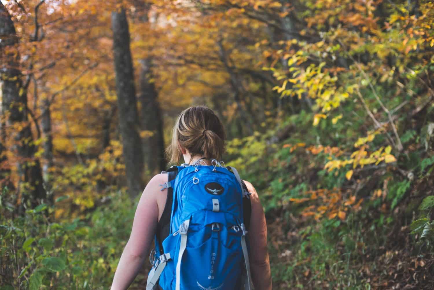 Day hikes clearance of the smokies