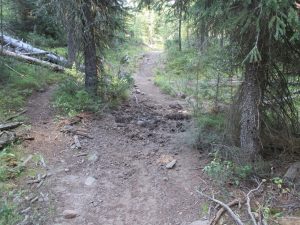 Absarka beartooth wilderness