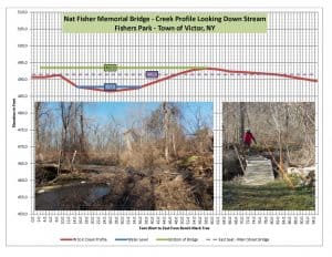 Profile of Creek