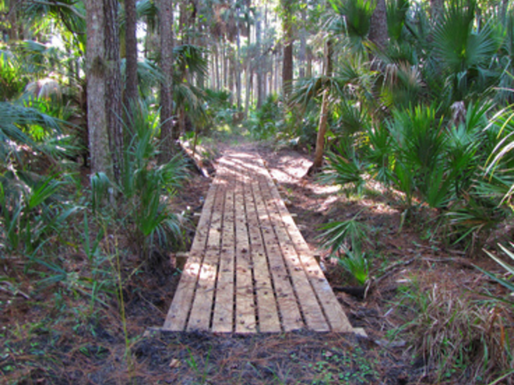 8 of the Best Section Hikes on the Florida Trail American Hiking Society