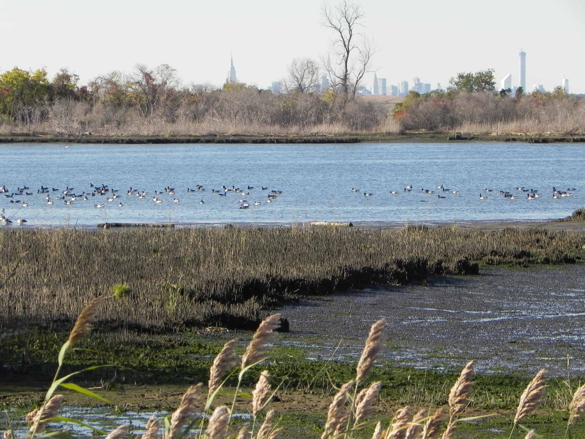 Gateway National Recreation Area, Jamaica Bay Wildlife Refuge