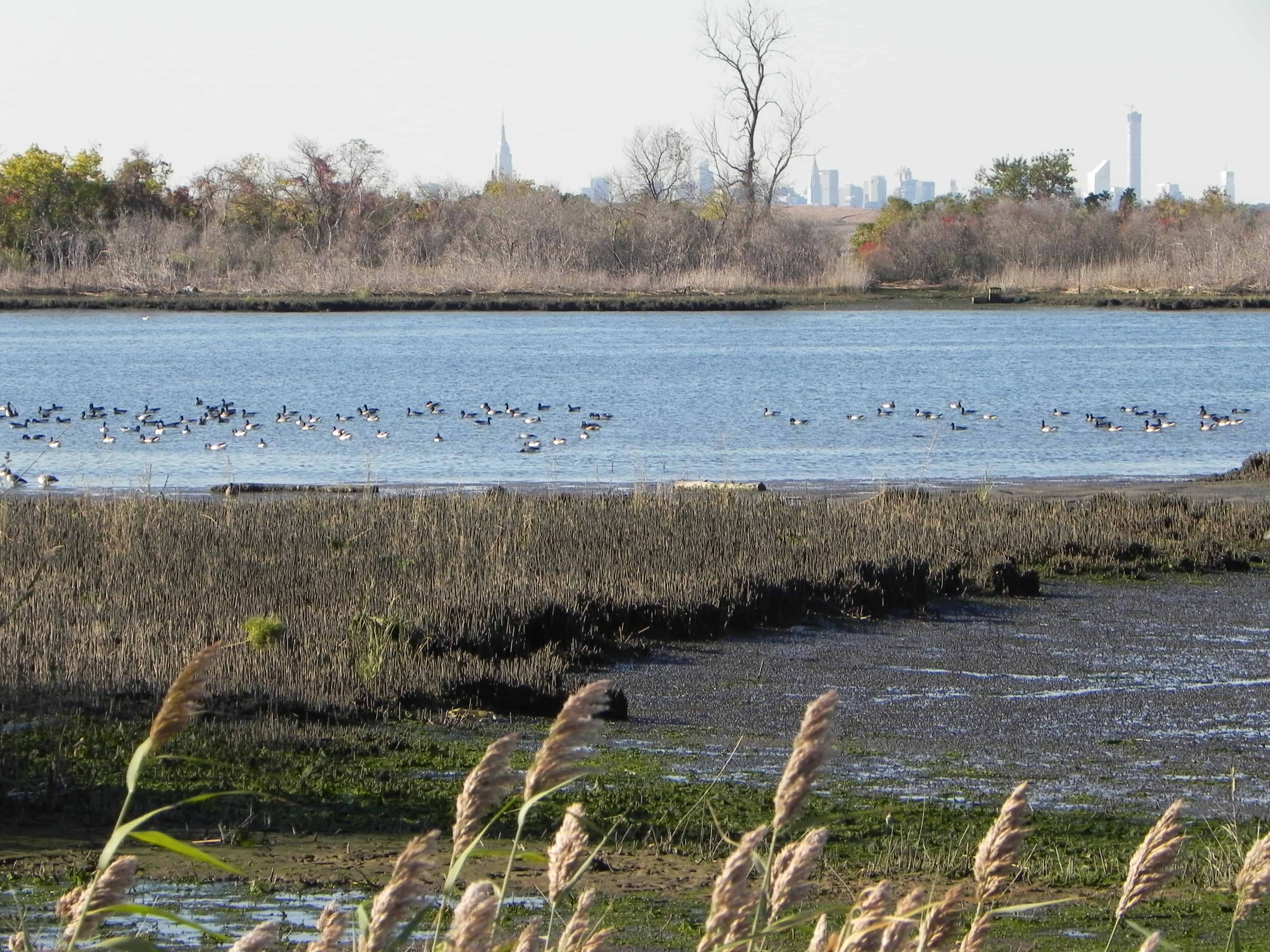 Gateway National Recreation Area, Jamaica Bay Wildlife Refuge - American Hiking Society