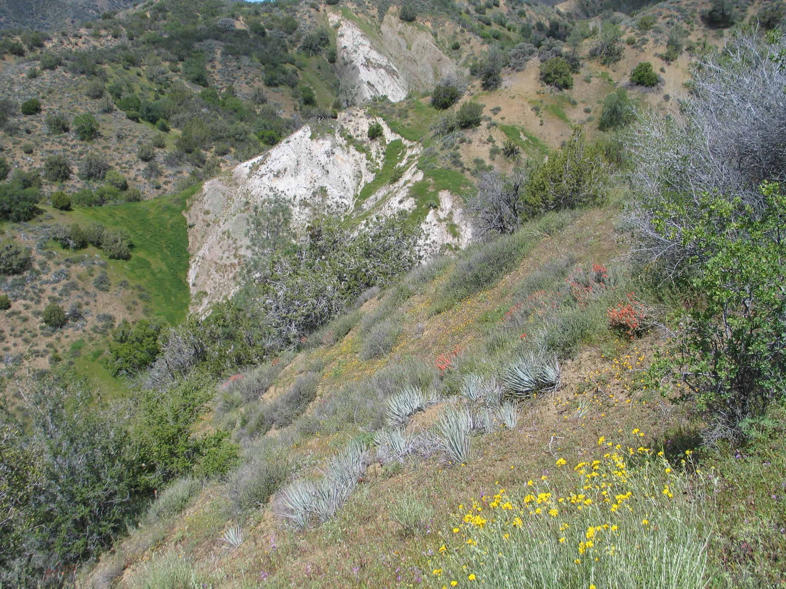Coalinga Mineral Springs National Recreation Trail American Hiking