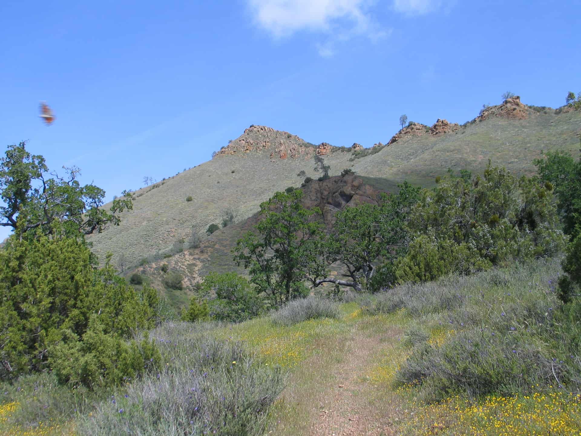 Coalinga Mineral Springs National Recreation Trail American Hiking