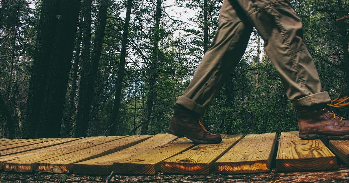 hiker walks across a wood board walk in the forest