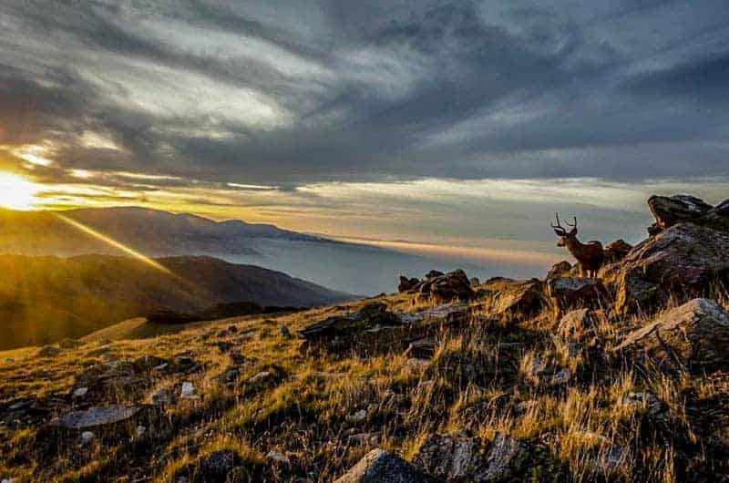 Tejon Ranch Conservancy - American Hiking Society