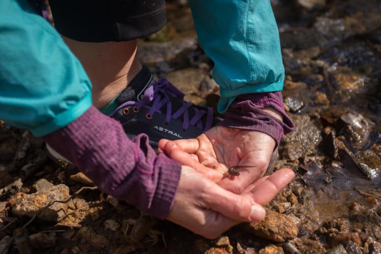 Jennifer Pharr Davis cradles small amphibian near creek bed 