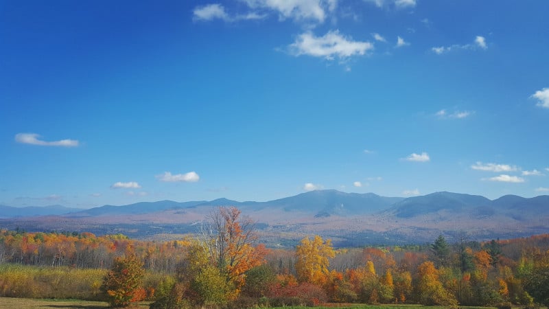 Fall colors on a hiking adventure.