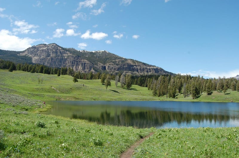 A lush meadow surrounds a mountain Lake in Yellowstone National Park.