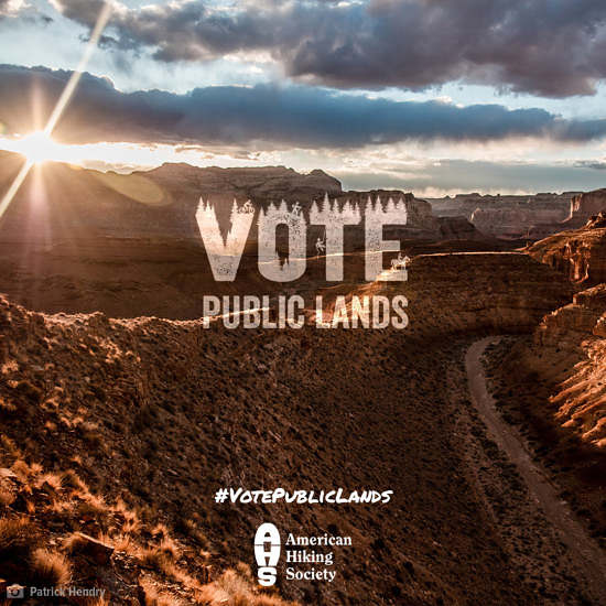 Vote Public Lands wordmark on setting sun in a desert canyon