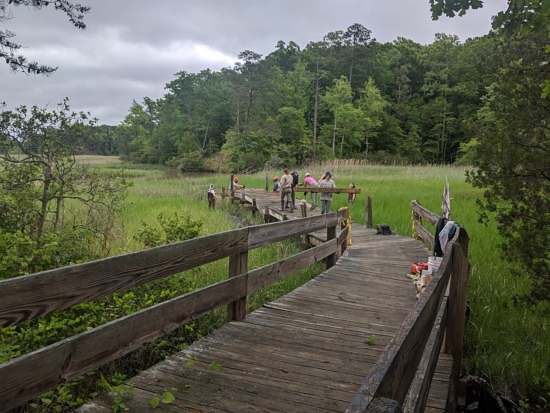 Volunteers work on rebuilding a wooden bridge with missing wooden planks and beams in York River State Park, Virginia.