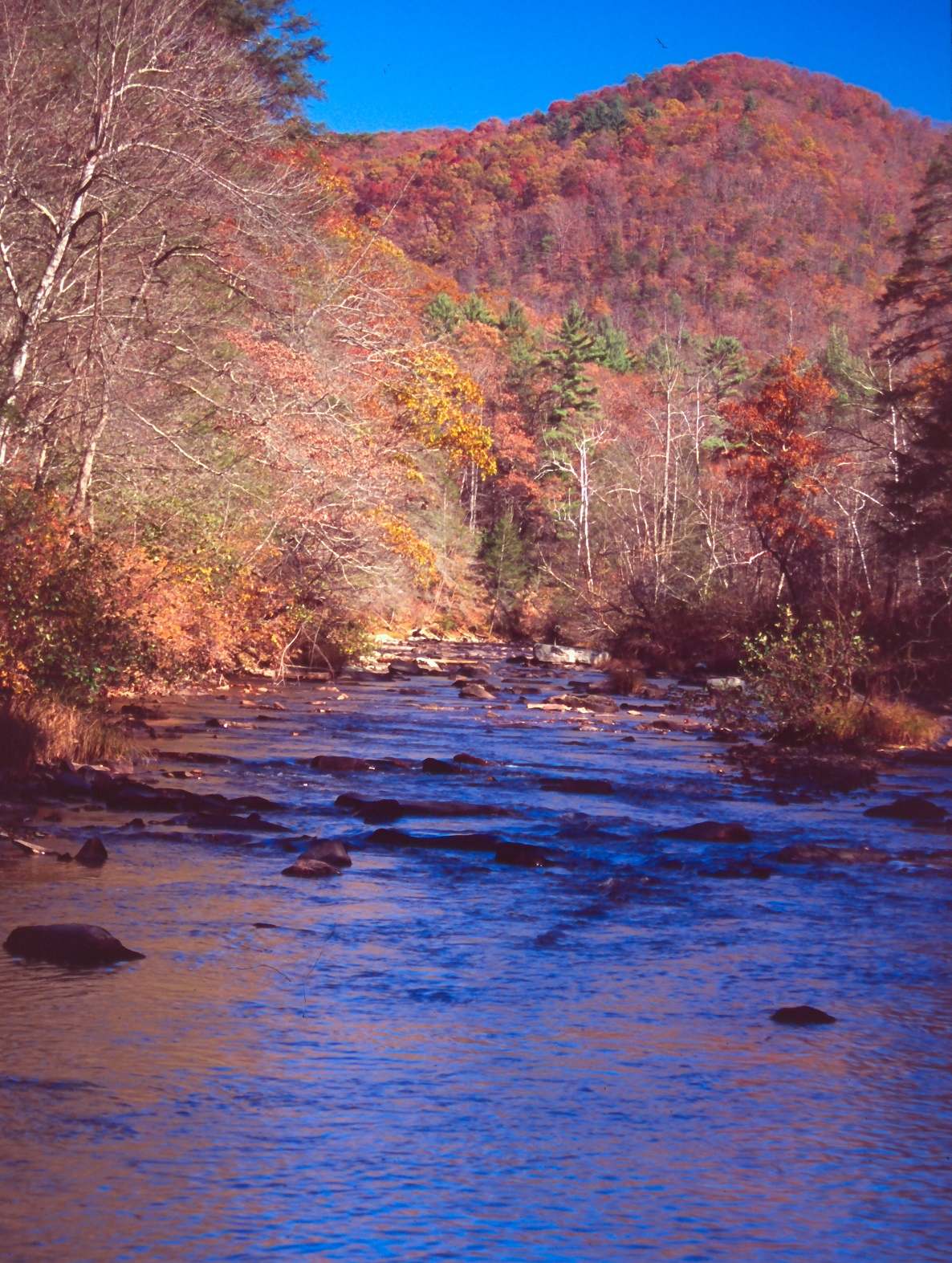 U.S. Forest Service - Monongahela National Forest