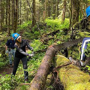 Pacific Northwest Trail Association volunteers saw a log in the forest.