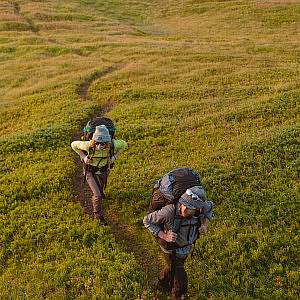 Backpackers hike through a field with Osprey packs on their backs.