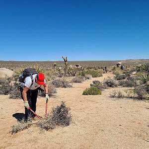 A trail volunteer helps clear brush in Joshua Tree National Park.