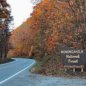 A winding road lined with orange, red, and yellow autumnal trees enters Monongahela National Forest as marked by a U.S. Forest Service official sign on the right side of the road.