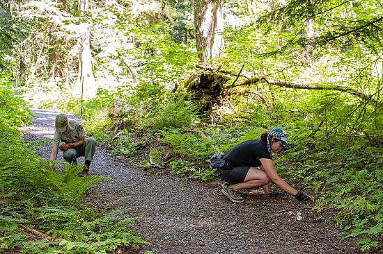 Two participants crouch down on the trail while they work one the endge of the trail