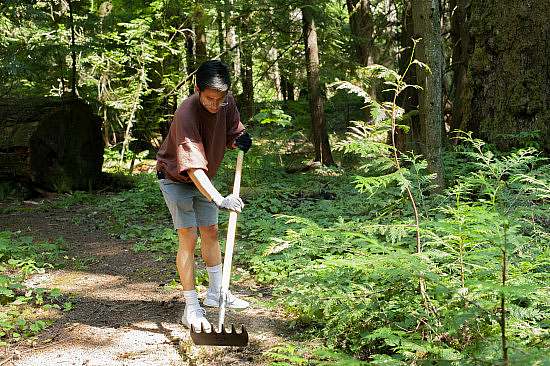 Volunteer in a sunny spot uses a McCloed to groom trail tread