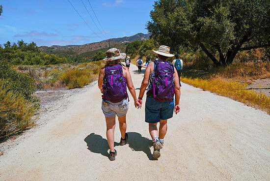Two hikers faceing away from the camera wear floppy wide brim hats and matching purple packs while hiking and holding hands