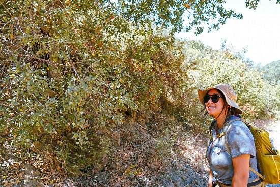 A hike participant smiles while gazying off towards somew shaddy tree.