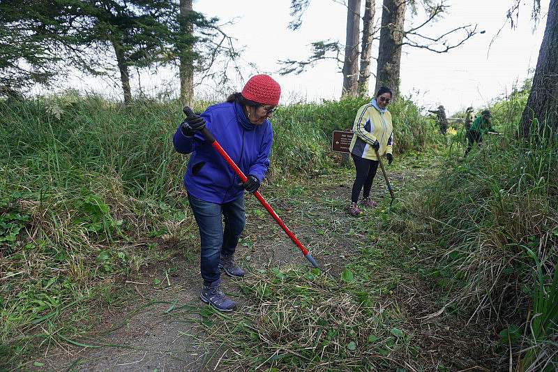 Volunteers with hand tools cut and rack tall green grass along the edges of a trail