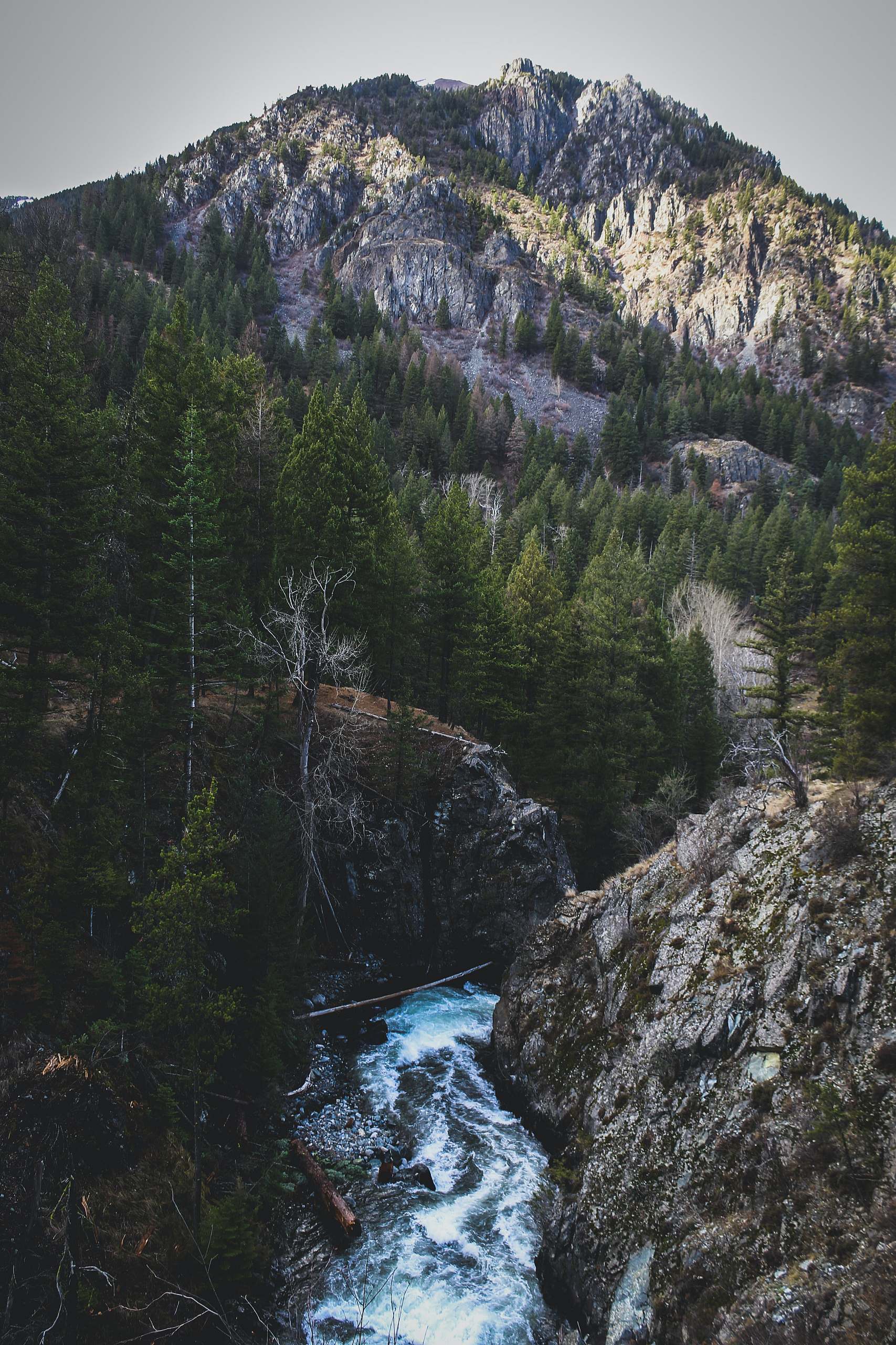 River with white water rages through a rocky canyon with rocky crags above.