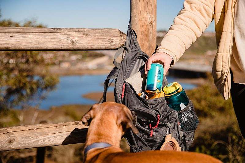A dog stands in front of a person pulling a can of Athletic Brewing out of their backpack.