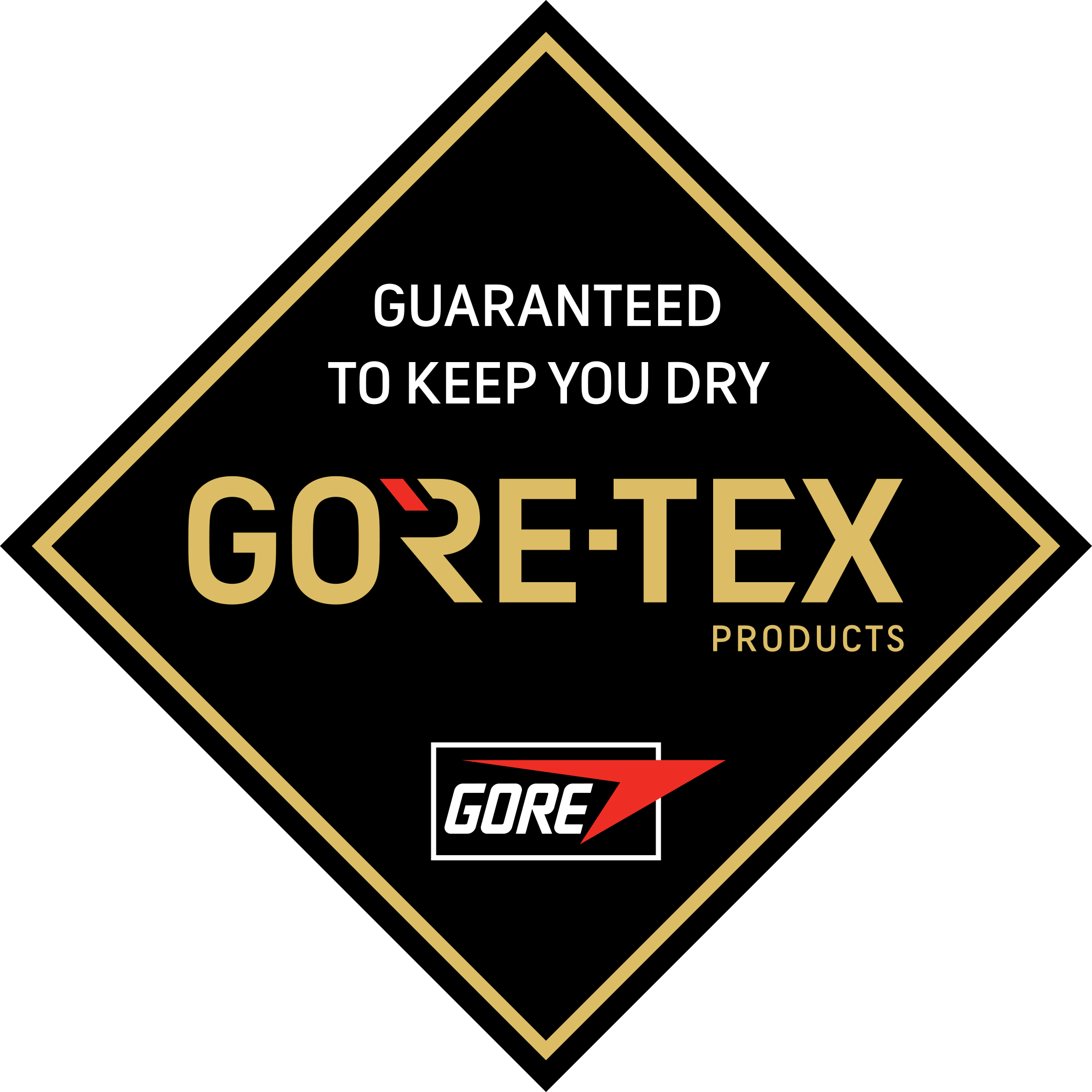 GORE-TEX Logo Color