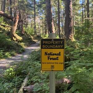 Forest Trail with Black and Yellow sign that reads property boundary national forest land behind this sign