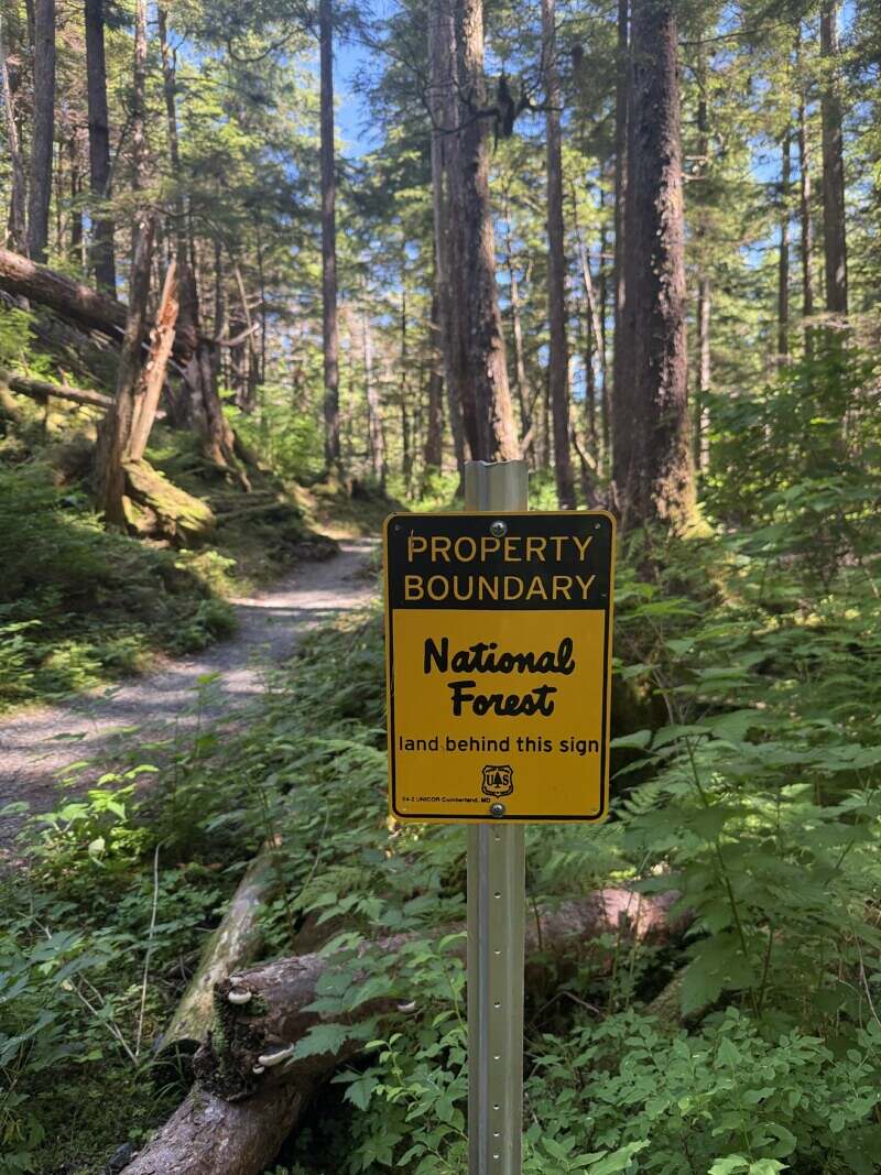Forest Trail with Black and Yellow sign that reads property boundary national forest land behind this sign