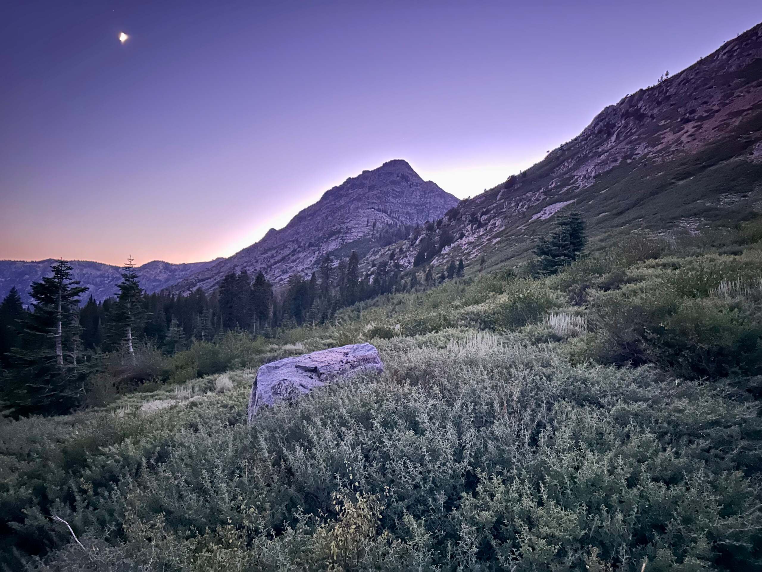 A mountain meadow at dusk with a rocky peak and the moon rising above it