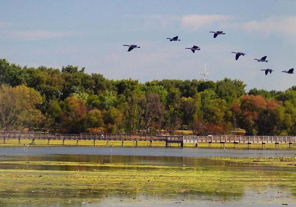 5278273150_e8d9cce4a1_o_0