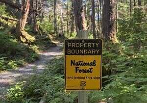 Forest Trail with Black and Yellow sign that reads property boundary national forest land behind this sign