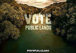 vote-public-lands-square-tod-trapani-2